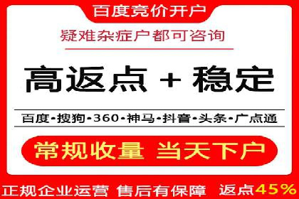 SEM服务案例：打造行业领先品牌
